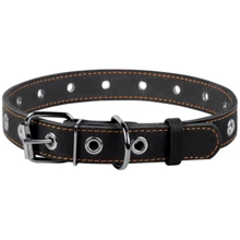 Ошейник Collar для собак безразмерный 2x50 см черный: Производитель Collar