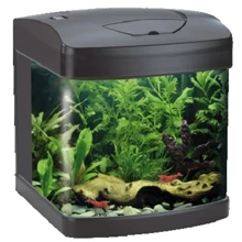 Аквариум Amtra Xcube 26 Led Black 6.8 watt 26 л 31x32x37 см (A2001281): Производитель Amtra