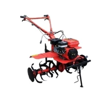 Культиватор Forte 1050G (колеса 8", 7,0лс): Производитель Forte