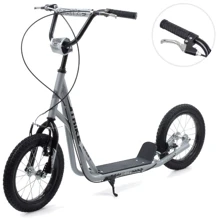Самокат iTrike SR 2-045-1-G (grey): Количество колес 2
