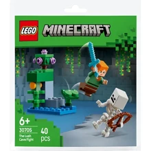 Конструктор LEGO Minecraft Бой в пещере с зарослями (30705): Серия MINECRAFT