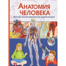 Винченцо Гуиди: Анатомия человека. Детская иллюстрированная энциклопедия: Производитель Владислав Камионко