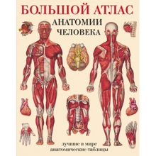 Большой атлас анатомии человека: Производитель АСТ