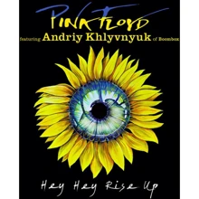 LP I-DI Pink Floyd: Hey Hey Rise Up ( Feat. Andriy Khlyvnyuk) (LP0064): Производитель I-DI