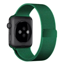 Аксесуар для Watch COTEetCI W6 Magnet Band Green (WH5203-GR) for Apple Watch 42 / 44mm: Виробник COTEetCI