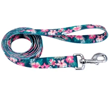 Поводок Coastal Pet Attire Style для собак зеленый 1 смx1.2 м: Тип Поводок