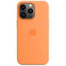 Чехол для iPhone TPU Silicone Case Marigold for iPhone 13 Pro Max: Цвет оранжевый