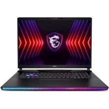 Ноутбук MSI RAIDER GE78 HX (14VHG-837US): Экран 17.3" IPS (2560x1600)