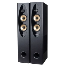 Акустическая система F&D T-60X Pro 2.0 Black: Формат акустики 2.0