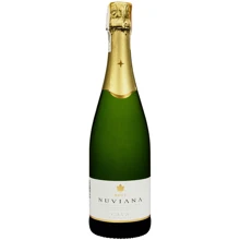 Вино игристое Codorniu Cava Nuviana Brut белое сухое 0.75 л (FSH_8410013008474): Объем, л 0.75