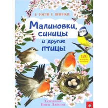 В гости к природе. Малиновки, синицы и другие птицы: Производитель Лабиринт