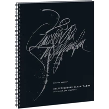 Виктор Фицнер: Экспрессивная каллиграфия. 20 стилей для практики: Производитель Манн, Иванов и Фербер