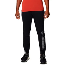 Спортивні штани Columbia CSC Logo™ Fleece Jogger II 1911601-010 48 темні: Вид Спортивные брюки