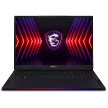 Ноутбук MSI Raider 18 HX A14VHG-258US (RAIDER18HX14258): Экран 18" IPS (3840x2400) WQUXGA