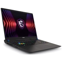 Ноутбук MSI Vector 17 HX A14V (A14VGG-253PL): Екран 17" IPS (2400x1600)