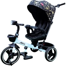 Велосипед Best Trike Marco 3-х колесный (9155 / 319-22): Тип Велосипед-коляска