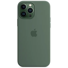 Чехол для iPhone Apple Silicone Case with MagSafe Eucalyptus (MN6C3) for iPhone 13 Pro Max: Цвет зеленый