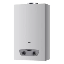 Водонагреватель газовый Ariston FAST R ONM 10 NG: Вид Дымоходный