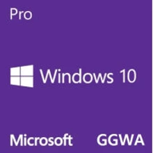 Операционная система Microsoft Windows GGWA - Windows 10 Professional Commercial, Perpetual (DG7GMGF0CGSH_0005): Производитель Microsoft