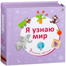 Я узнаю мир. 9 книжек-кубиков: Производитель Робинс