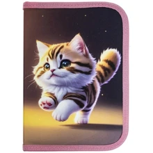 Пенал CLASS Kitty (25004C): Стать для дівчаток