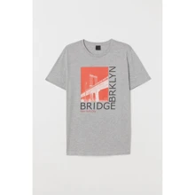 Футболка H & M 6494409 L сіра з принтом: Вид футболки
