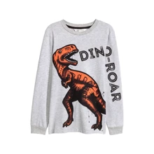 Лонгслив H&M 9Z5599436 170 см серый: Тип Лонгсливы