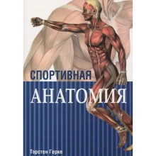 Спортивная анатомия: Производитель Попурри