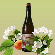 Сидр Vallee de la Seiche Cidre Bouche Artisanal Doux (0,75 л) (BW20708): Объем, л 0.75
