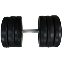 Гантель Newt Rock Pro-R 16.5 кг наборная композитная в пластиковой оболочке (NE-PL-R-016): Вес гантели, кг 16.5