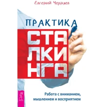 Евгений Черняев: Практика сталкинга. Работа с вниманием, мышлением и восприятием: Производитель Весь