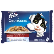 Влажный корм FELIX Fantastic Кусочки в желе для взрослых кошек, мультипак: с говядиной 2х100г и с курицей 2х100г (7613033261565): Тип Влажный корм