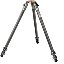 3 Legged Thing Legends Tommy 3-Section Carbon Fiber Hybrid Video/Photo Tripod: Тип штатива профессиональный