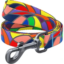 Поводок WAUDOG Nylon, рисунок "Витраж" 15 мм 122 см разноцветный (4593): Тип Поводок
