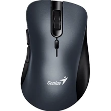 Мишка Genius Ergo 8100S (31030040401): інтерфейс підключення Wireless