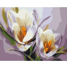 Картина за номерами Brushme Крокуси 40х50 см (BS5828): Виробник Brushme