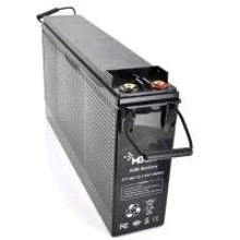 Merlion 12V - 100Ah (FT-12100): Тип Аккумулятор