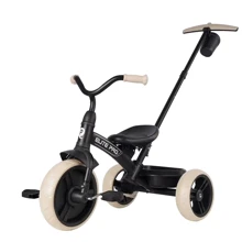 Велосипед QPLAY трехколесный детский Elite Pro Black (T10-BEliteProBlack): Тип 3х колесный велосипед
