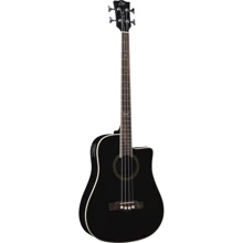 Электроакустическая бас-гитара Eko Guitars NXT Bass B100ce (See Thru Black): Тип Бас-гитара