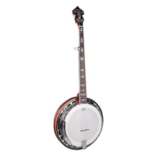 Банджо блюграс Richwood RMB-905-A: Тип Мандолины и банджо