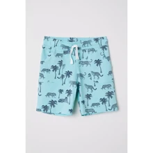 Шорти H & M 5689057 110 см бірюзові: Тип Шорти
