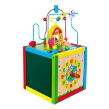 Дерев'яний бізікуб Viga Toys 5 в 1 (58506): Тип дитяча головоломка
