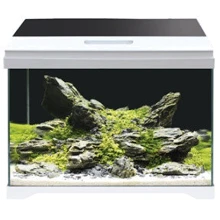 Аквариум Amtra Modern Tank 50 LED 40 л 50.5x25.5x40 см (A2001726): Производитель Amtra