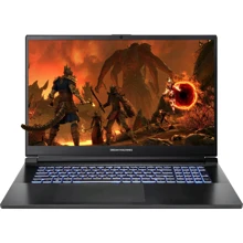 Ноутбук Dream Machines RG4060-17 (RG4060-17UA23) UA: Екран 17.3" (1920x1080)