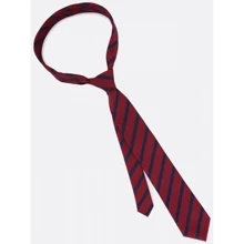 Галстук мужской Traum бордовый (8505-097): undefined undefined