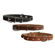 Ошейник Collar одинарный с украшением (ш 35мм, д 48-63см) оранжевый: Производитель Collar