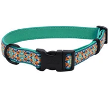 Нашийник Coastal Ribbon Weave Collar для собак темно-бірюзовий з кісточками XS 1.6х20-30 см: Виробник Coastal