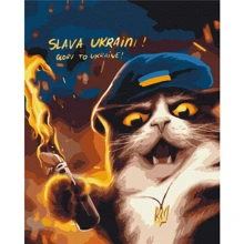 Картина за номерами Brushme Котик повстанець ©Маріанна Пащук 40х50 см (BS53120): Виробник Brushme