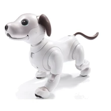 Sony Aibo ERS-1000: Производитель Sony