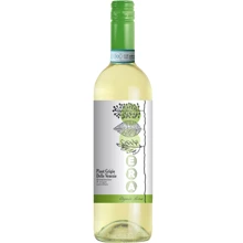 Вино Era Pinot Grigio Delle Venezie Organic белое сухое 0.75 (VTS2991210): Страна производитель Италия